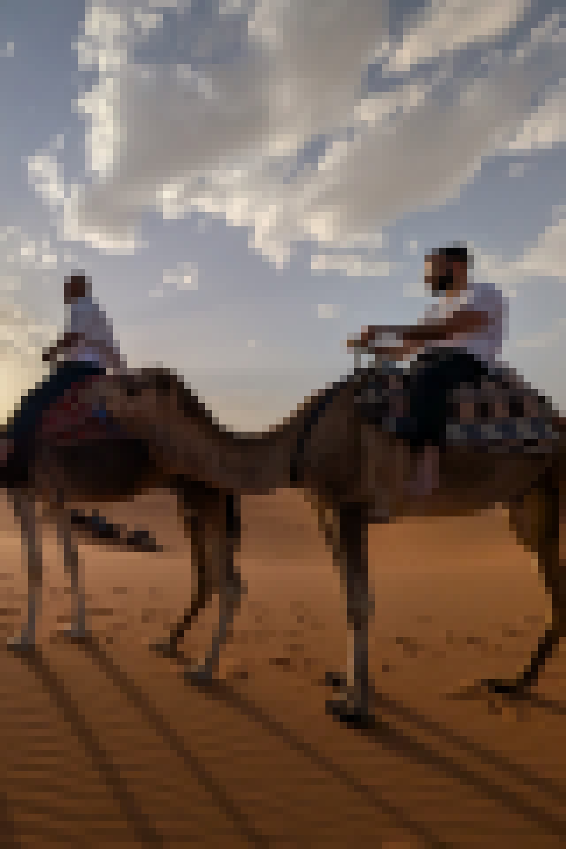 A camel caravan at sunset, Erg Chebbi, Morocco